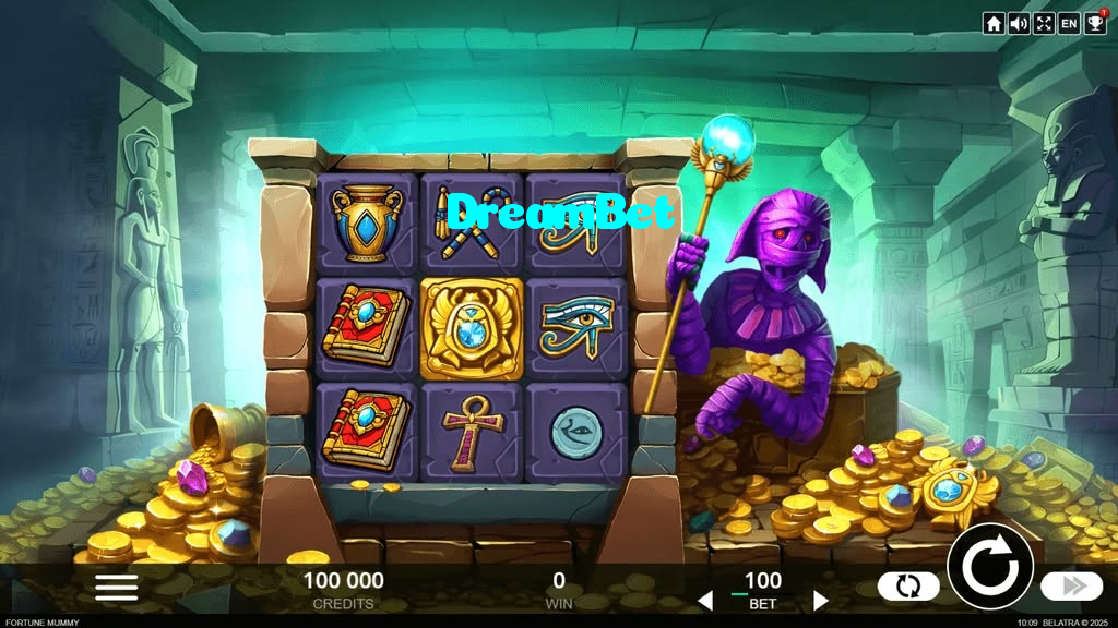 available types of DreamBet bet including pre-match live express and system bets